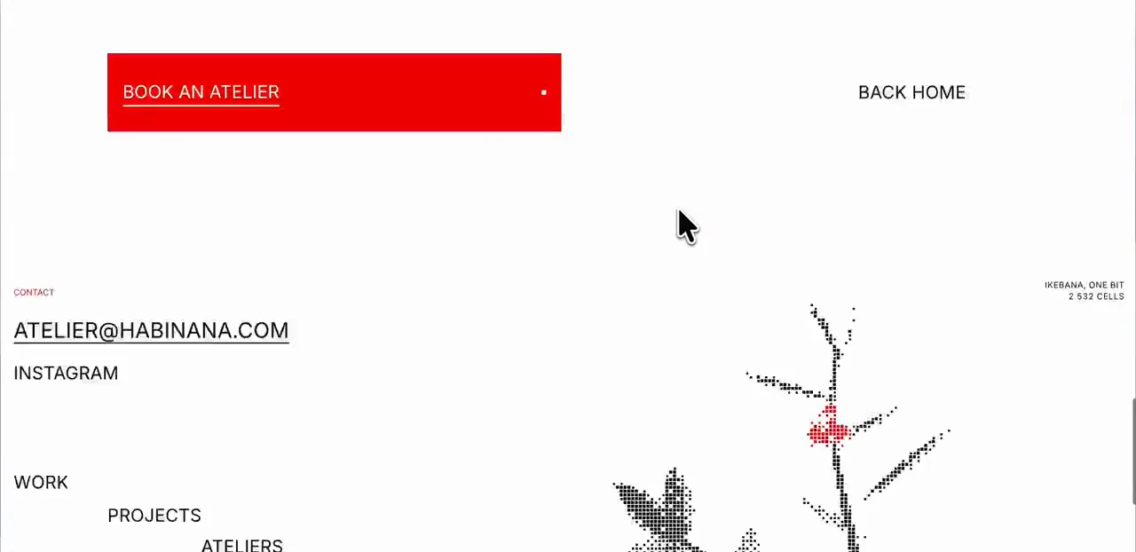 La page contact de Habinana, avec un ikebana dessiné en pixels.